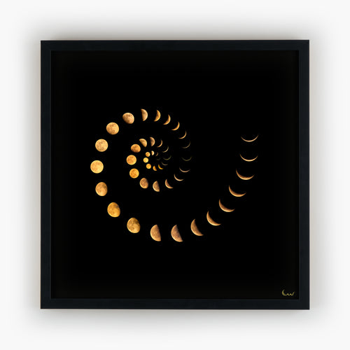 Golden Spiral